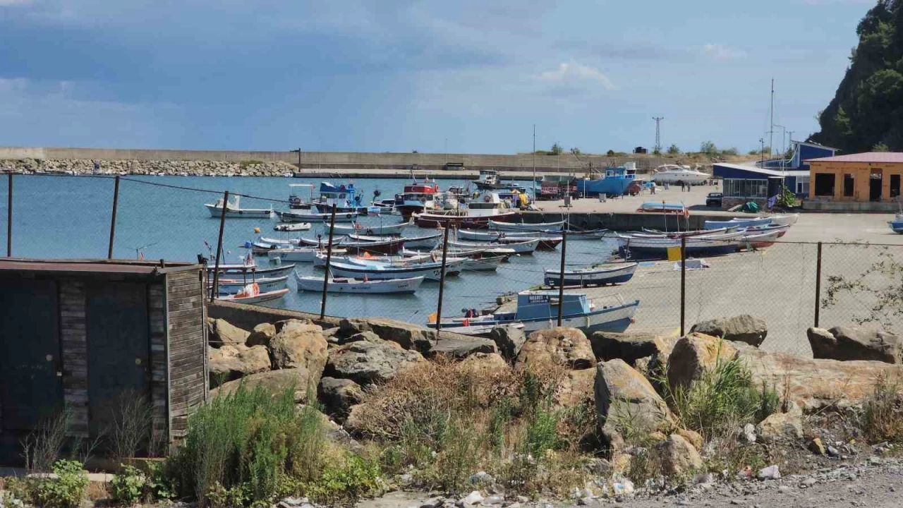Hafriyatlar dalgalarla birlikte denize akt�