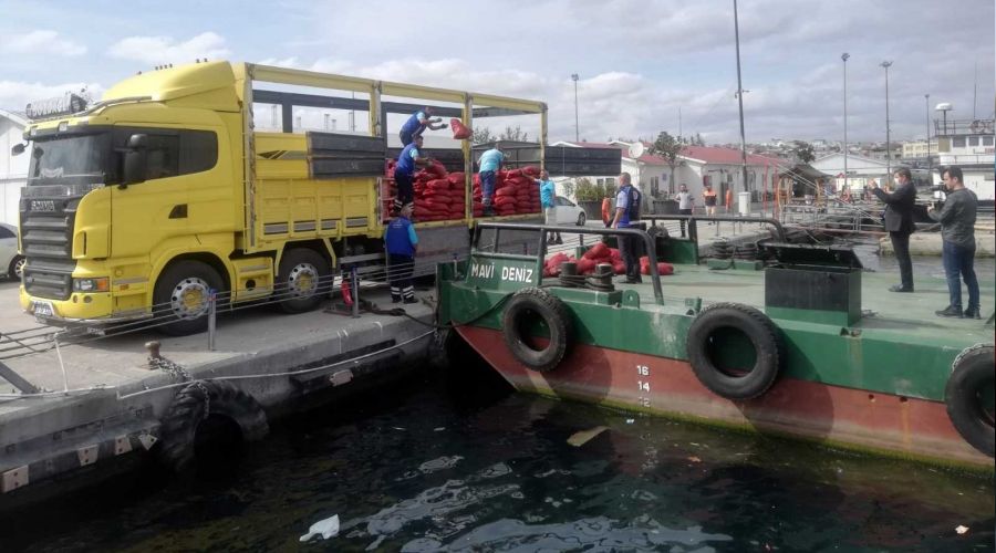Halde yasad 9.5 ton midye ele geildi