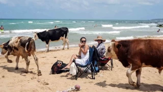 Halk plajları doldu, 'beach'lerde şezlonglar boş kaldı