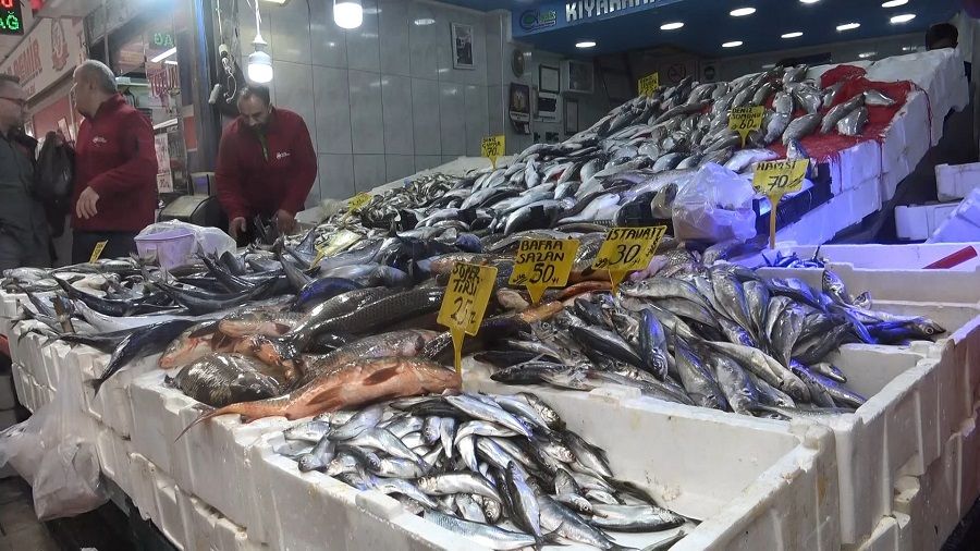 Hamside say�l� g�nler kala mezgit ve istavritte art�� ba�lad�!