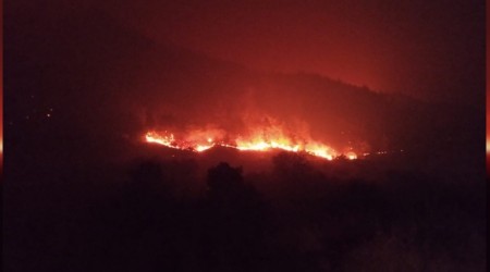 'Hatay yangınında can kaybımız yok'