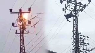 Hatay'da elektrik direğine çıkan şahıs akıma kapıldı