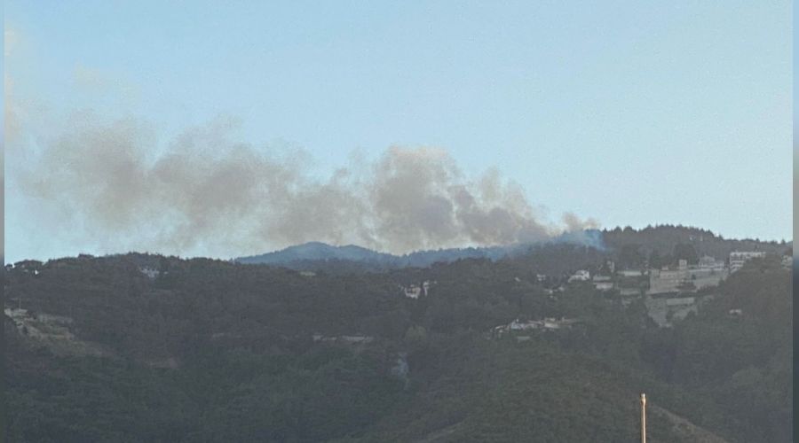 Hatay'da orman yang�n�