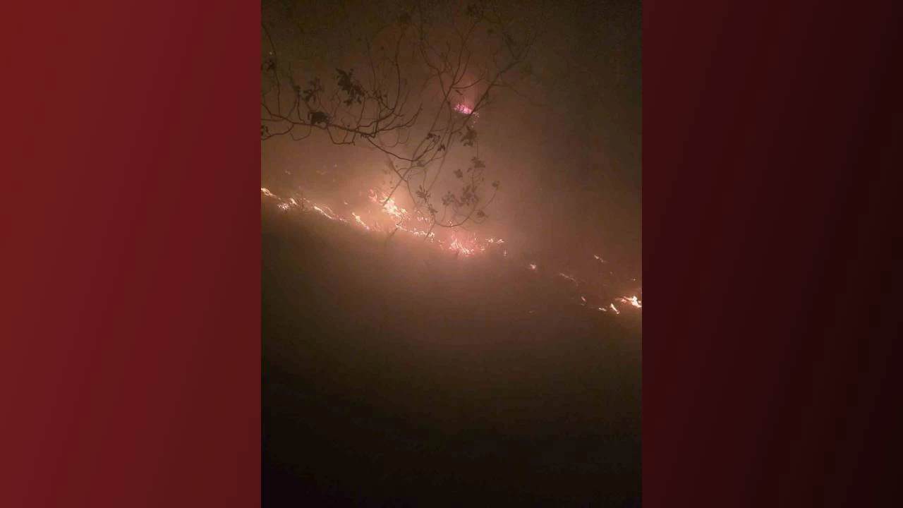 Hatay'da ormanlk alandaki yangn 16'nc saatte kontrol altna alnd