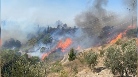 Hatay'daki yangın kontrol altına alınamıyor