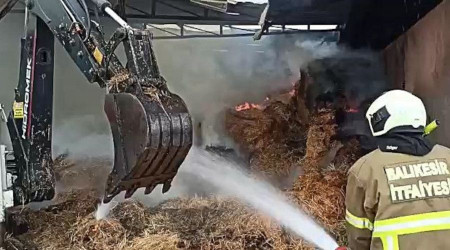 Havran'da besi çiftliğinde korkutan yangın