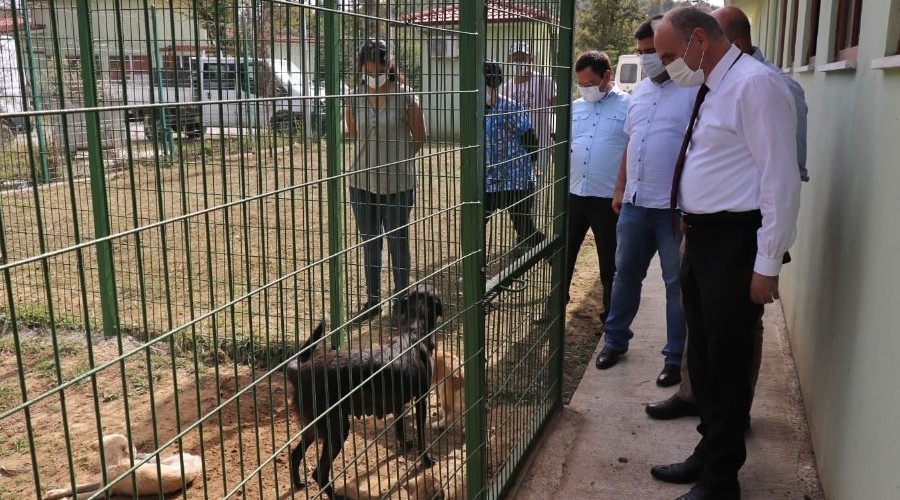 Hayvan Barinagi Ilgi Odagi Oldu Yeni Mesaj