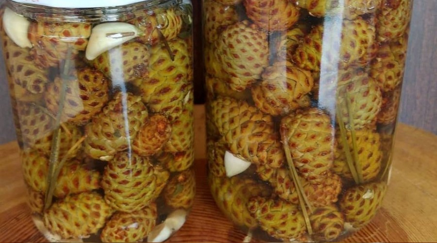 Hem s�s hem �ifa kayna��