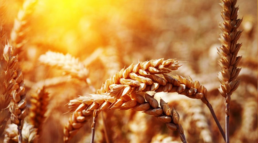 ‘Hepimiz Allah'ın karşısında duracağız’