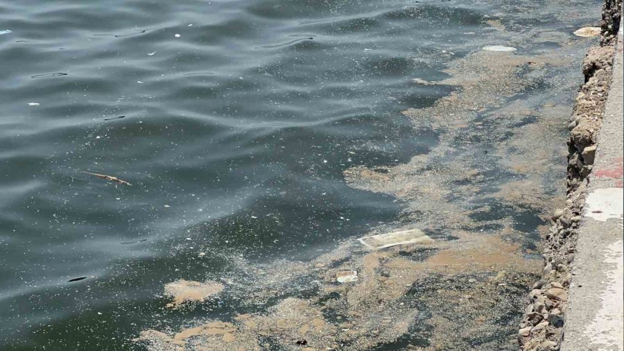 'Her 1 kilometre karede 8 milyonun �zerinde mikroplastik tespit edildi'