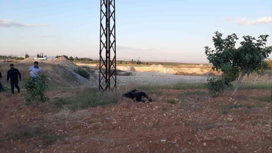 Hırsızlık zanlısının acı sonu