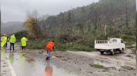 Hortum, ormanı savaş alanına çevirdi