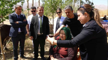 Hüngür hüngür ağlayan kadına bir inek de valilikten