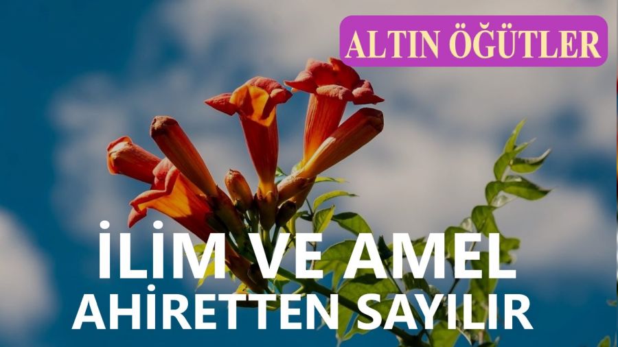 İlim, amel, ahiretten sayılır