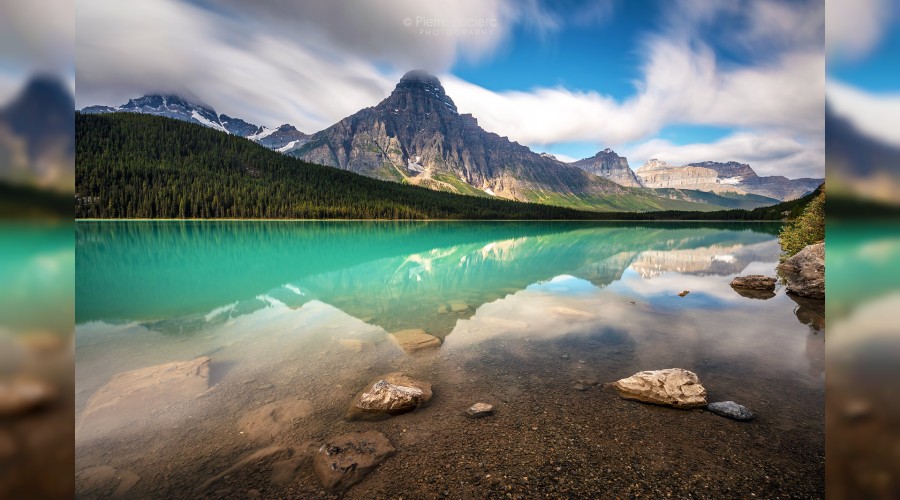 �mam �afi� muttaki biz z�tt�