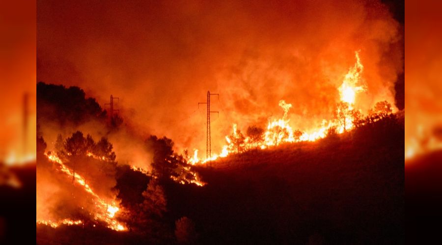 �spanya'da korkutan orman yang�n�