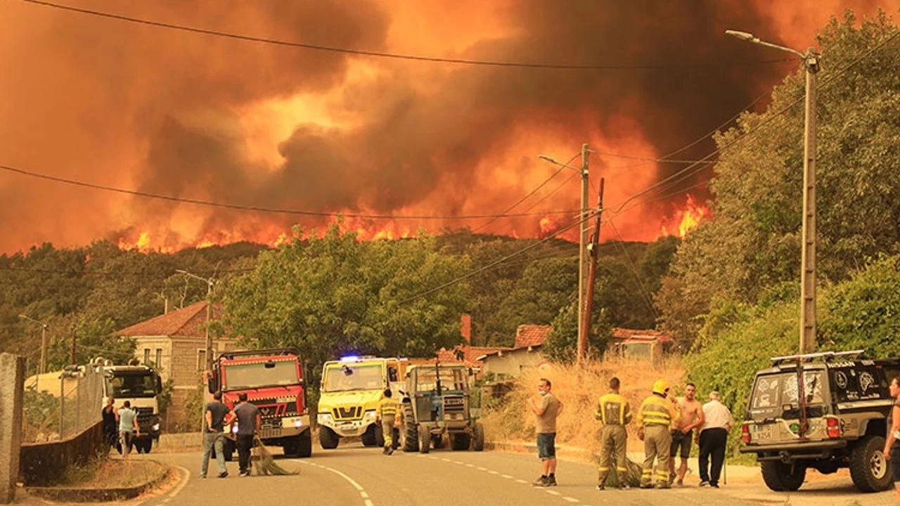 �spanya'da orman yang�nlar�nda 407 bin hektardan fazla alan k�l oldu