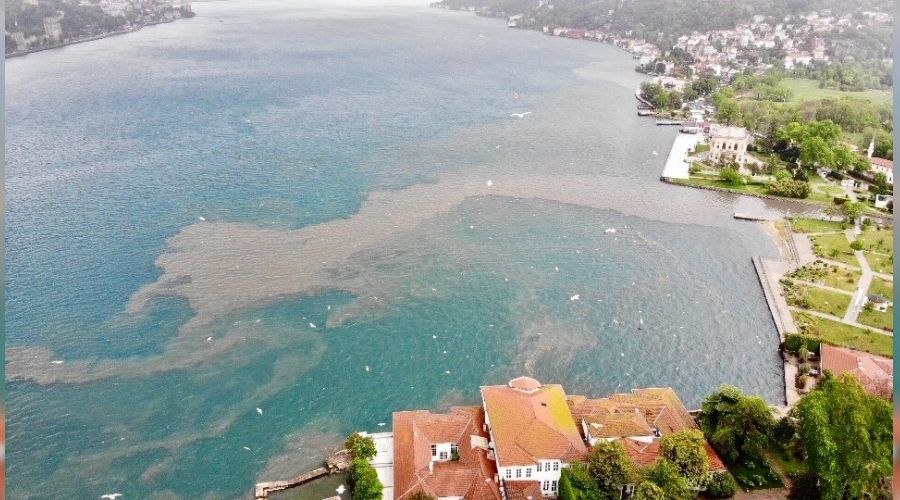 İstanbul Boğazı'nda suyun rengi değişti