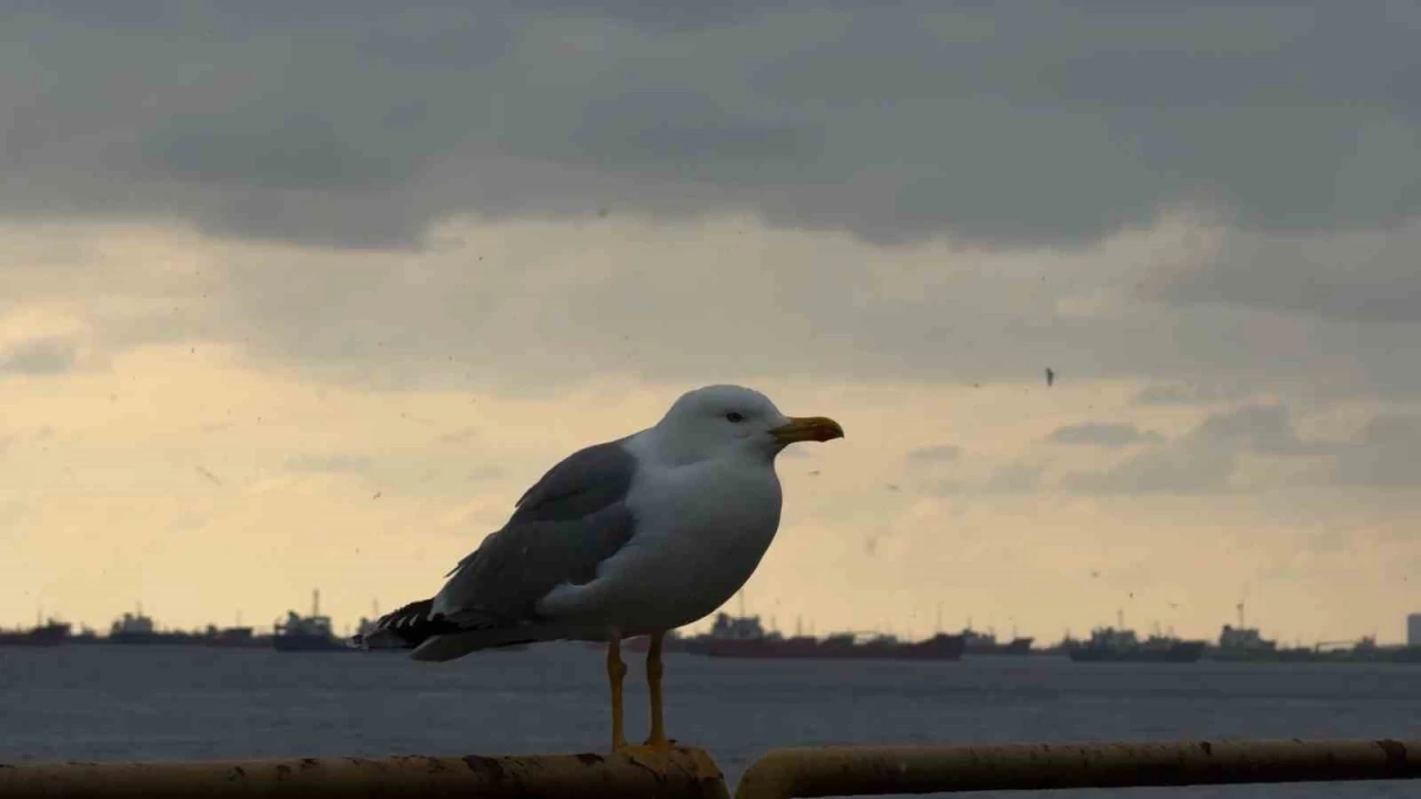 �stanbul'da kar ya���� etkisini yer yer artt�rd�