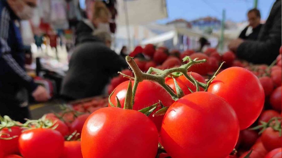 İstanbul'da Kasım ayında en çok domates pahalandı