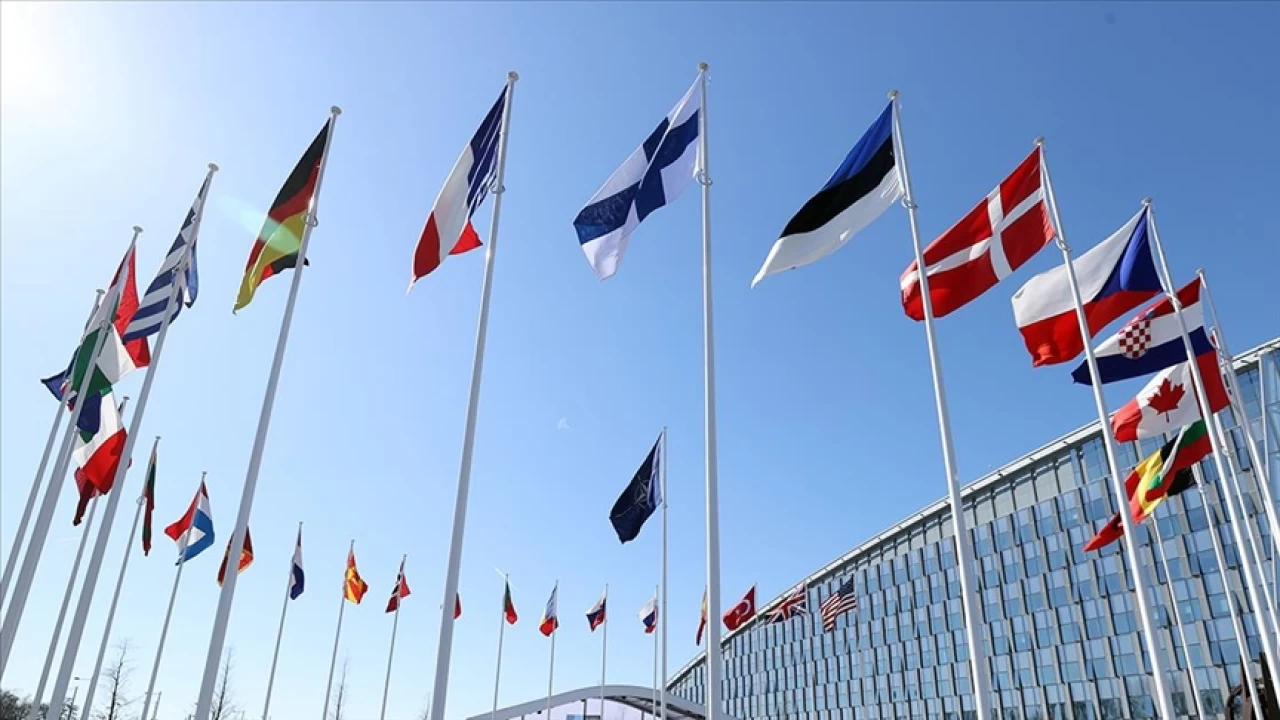 �sve�'in NATO yolculu�una Macar takozu