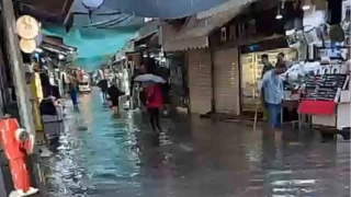 zmir'de saanak ya hayat olumsuz etkiledi