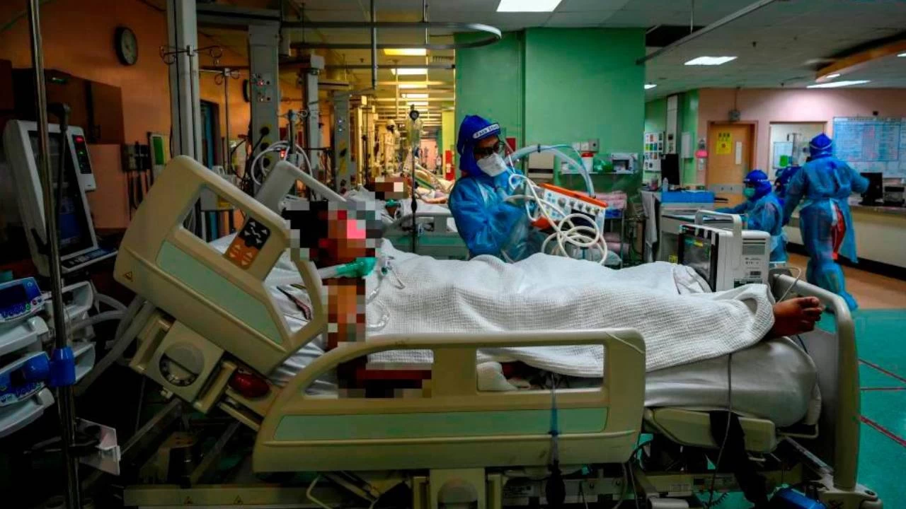 Japonya'da "beni-koji" tüketen 100'ü aşkın kişi hastaneye kaldırıldı