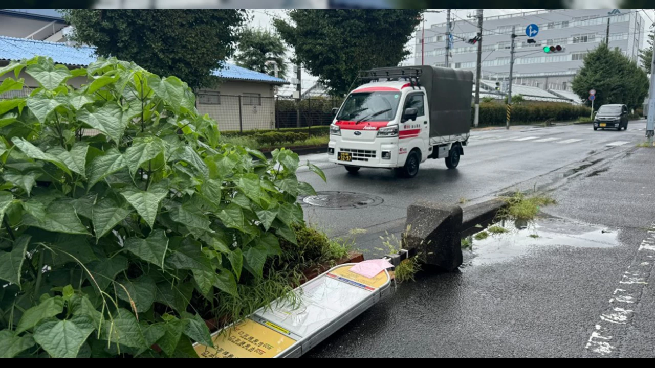 Japonya'yı Ampil Tayfunu vurdu