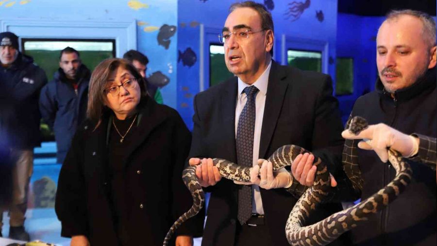 Kaçak yollarla yurda sokulan 108 hayvanın yeni yuvası Gaziantep oldu
