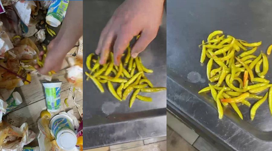 Kadıköy'de tantunicide çöpe dökülen biberleri toplayıp tekrar müşteriye sundular