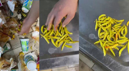 Kadıköy'de tantunicide çöpe dökülen biberleri toplayıp tekrar müşteriye sundular