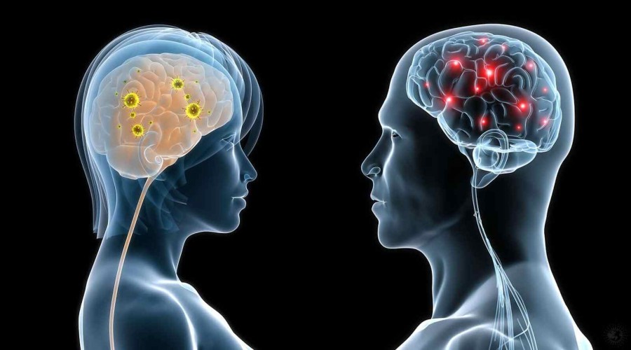 Kadn beyni erkek beyninden daha gen