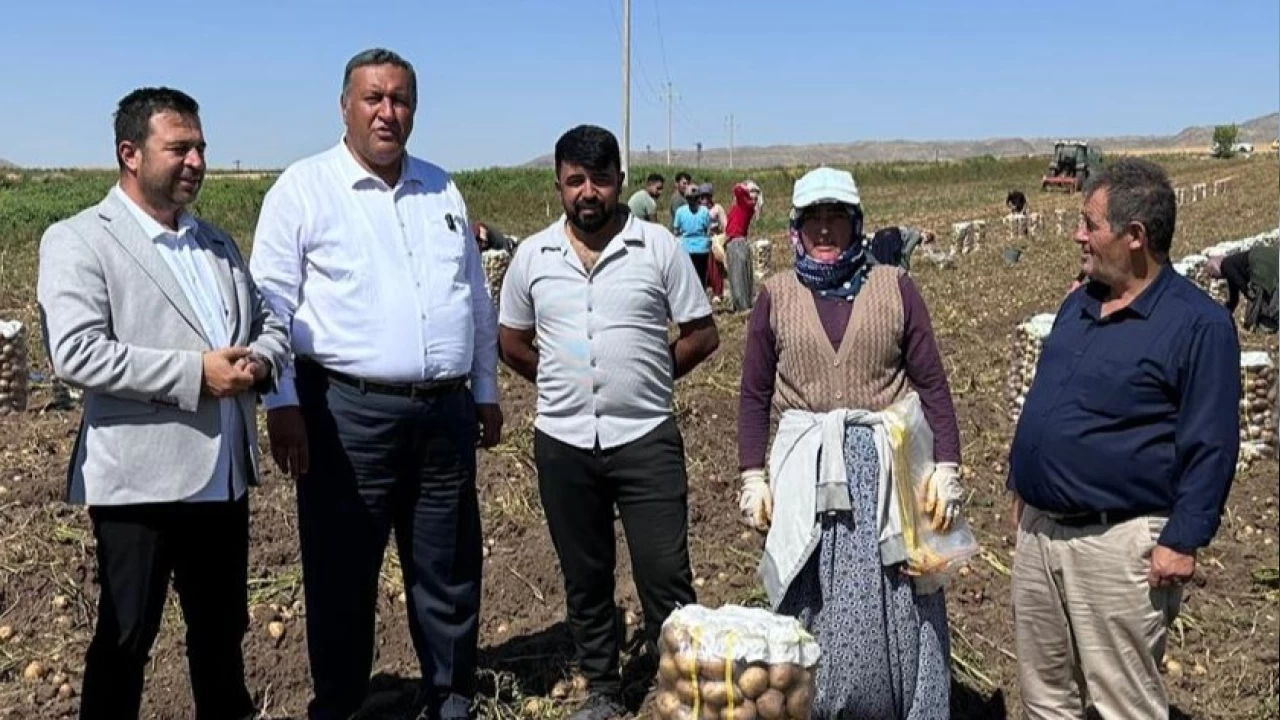 Kadın patates üreticisi çaresizliğe isyan etti