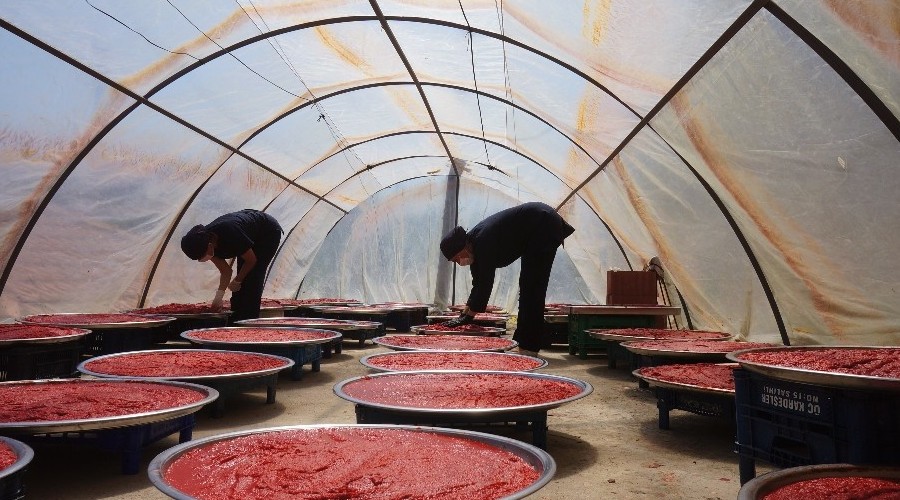 Kadınlar kooperatifi istihdama katkı sağladı