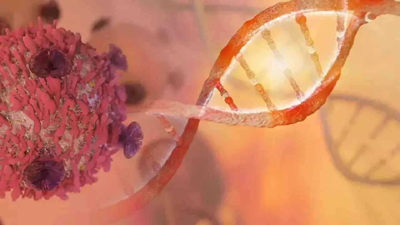 Kansere en �ok yol a�an yiyecekler 