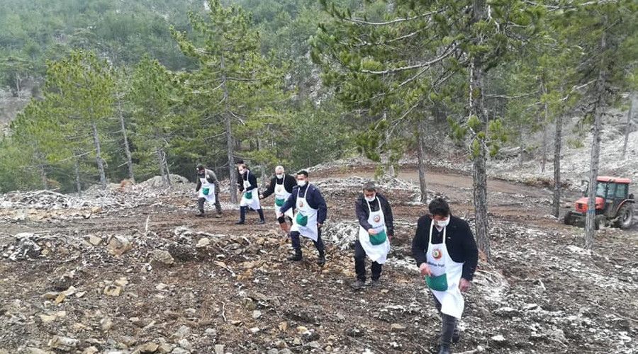 Kara�am tohumlar� toprakla bulu�tu