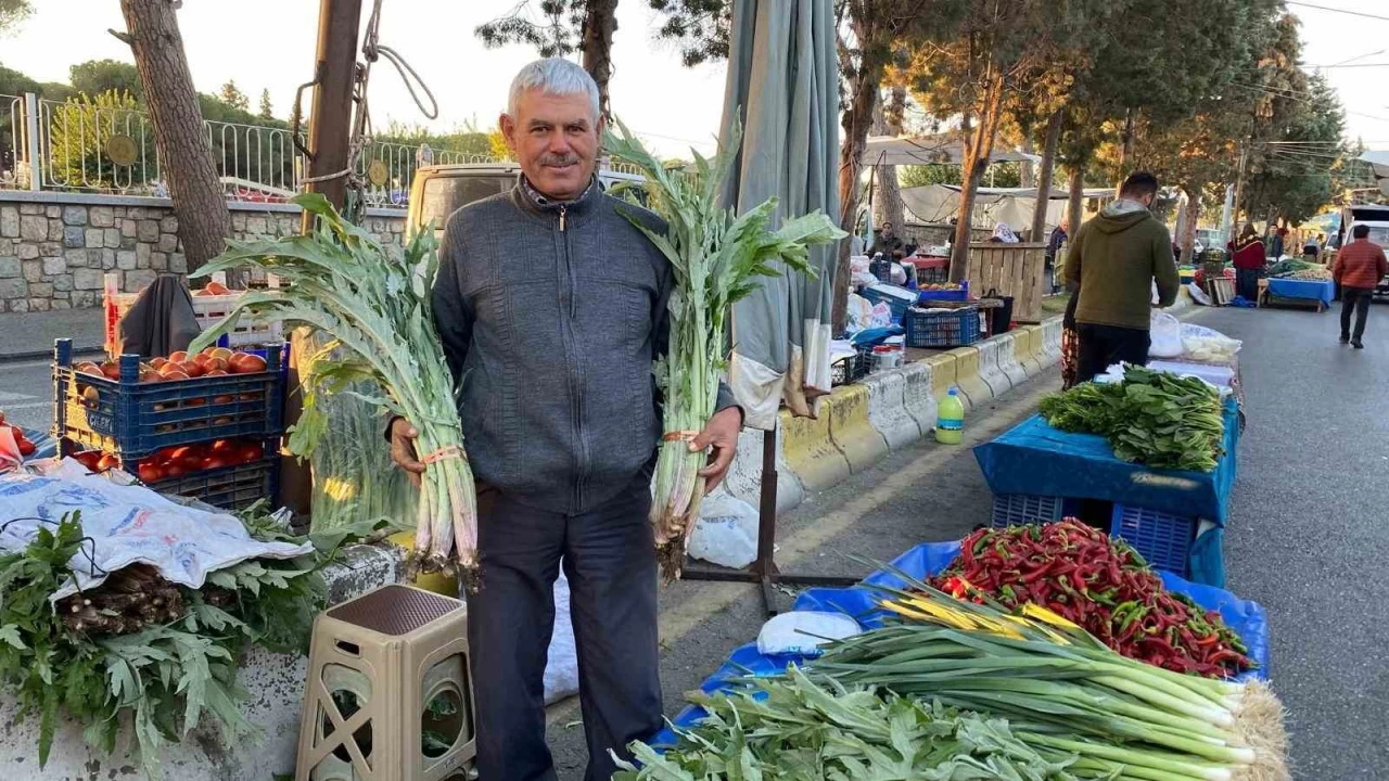 Karaciğer dostu enginar
