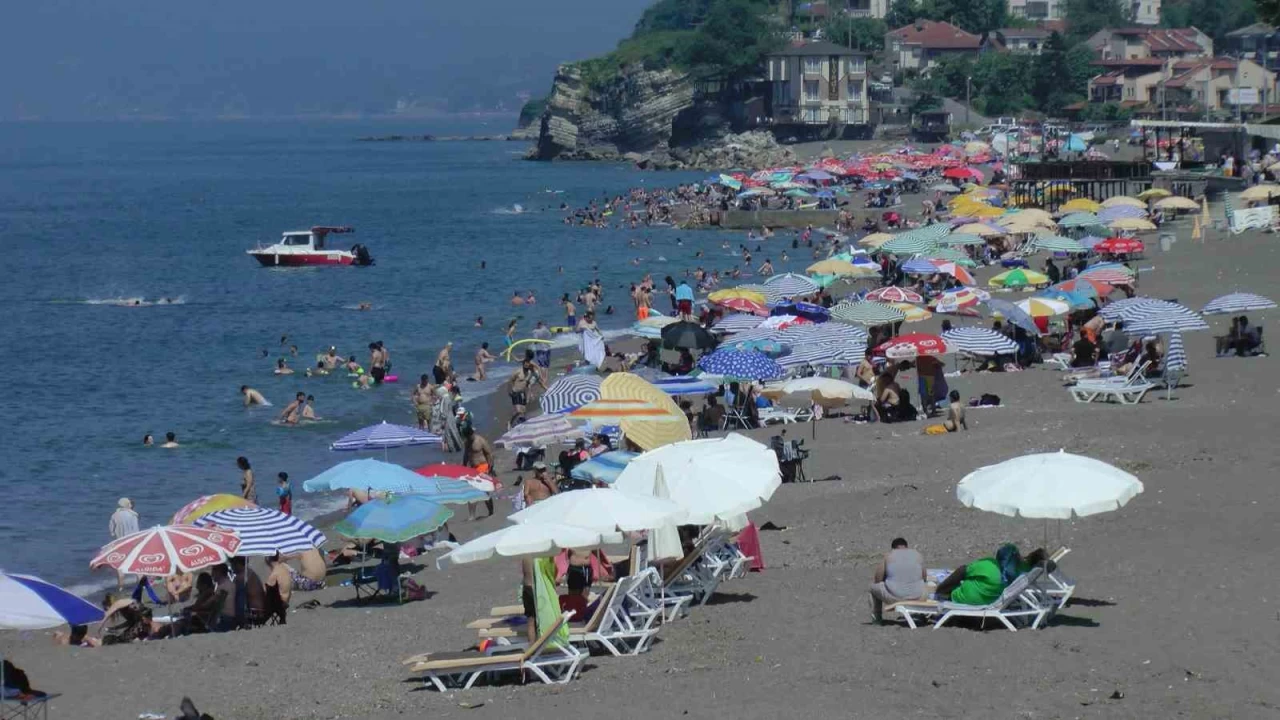 Karadeniz sahilleri t�kl�m t�kl�m