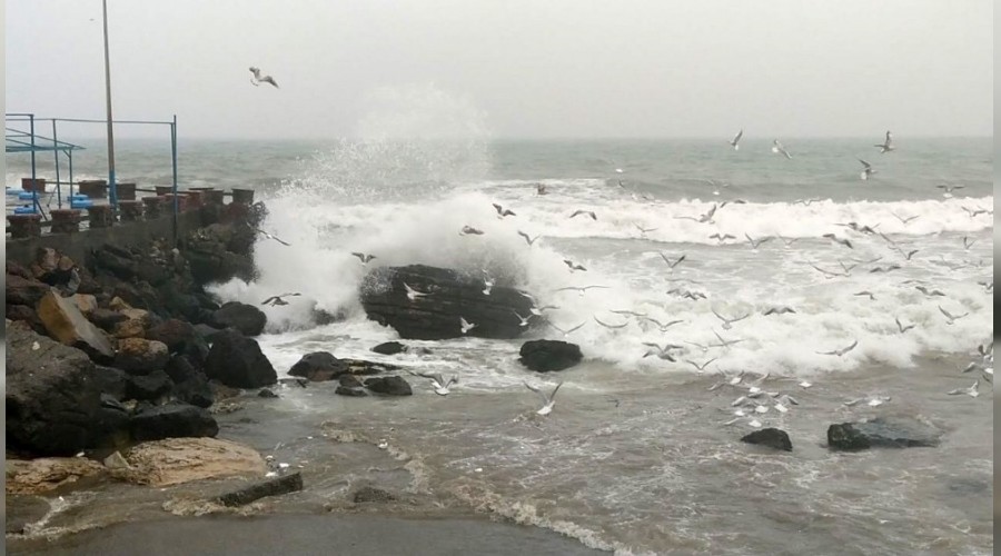 Karadeniz'de fırtına etkili oluyor