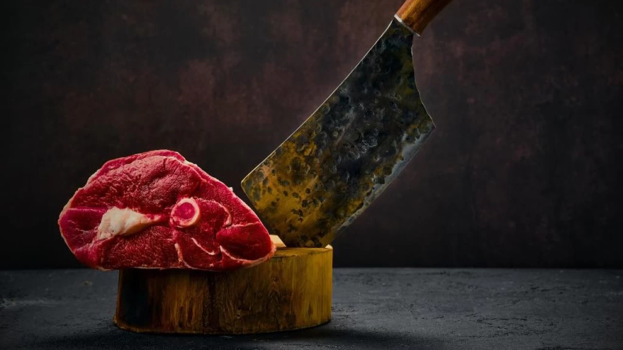 Kasaplk sanatnn tarihi serveni