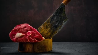 Kasaplk sanatnn tarihi serveni