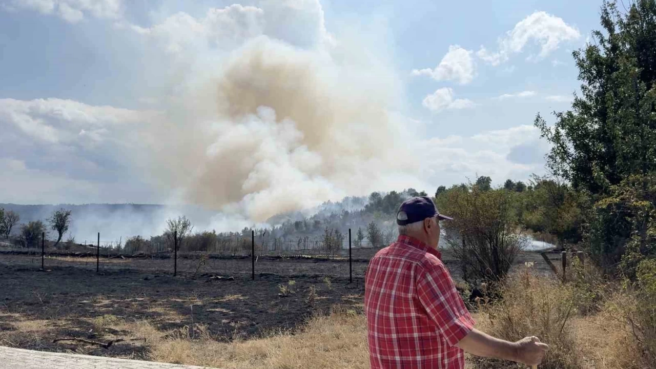 Kastamonu'da orman yang�n�