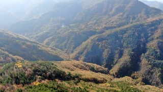 Kayıp annenin cesedini kuzgunu takip eden vatandaşlar bulmuş