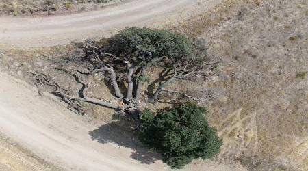 Kayseri’nin Kocasinan ilçesinde ‘7 kardeş’e kimse dokunamıyor