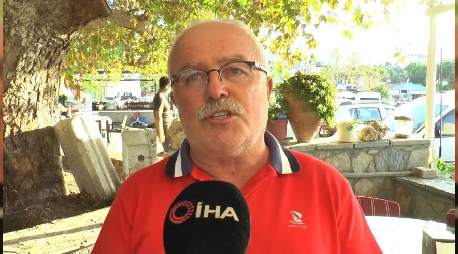 Kaza yapan köpeği götürürken ceza yedi