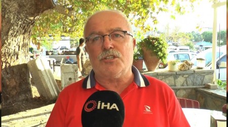 Kaza yapan köpeği götürürken ceza yedi