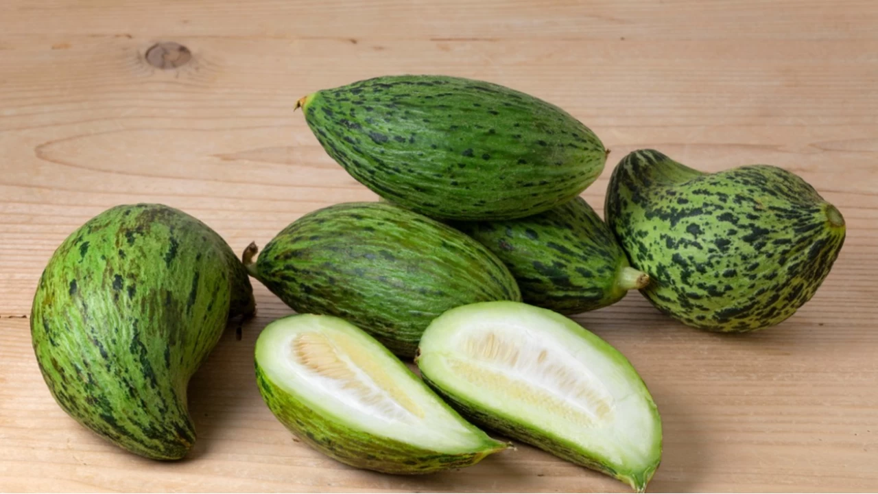 Kelek Turusu: Sofralarn vazgeilmez lezzeti ve ifa kayna!