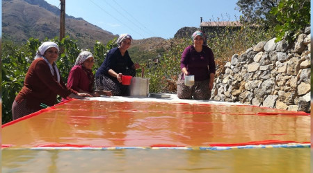 Kemaliyeli kadınların pestil mesaisi