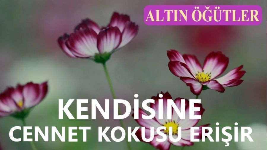 Kendisine Cennet kokusu erişir