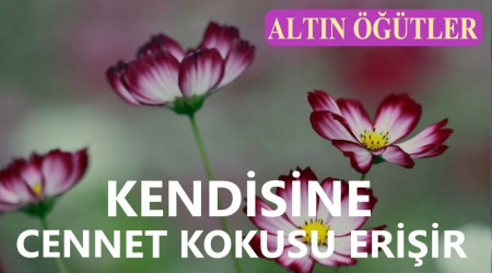 Kendisine Cennet kokusu erişir